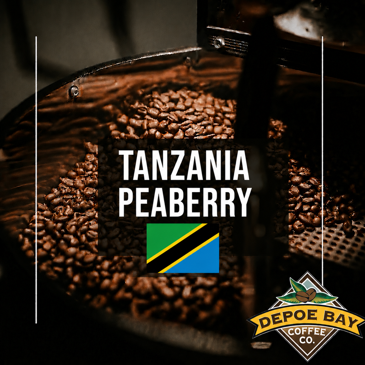 Tanzania Peaberry